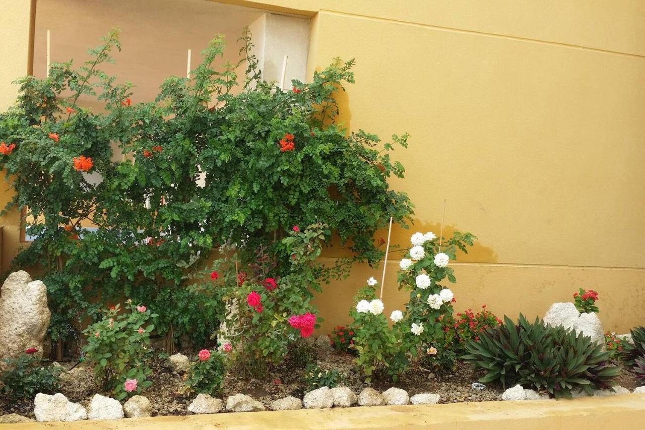 431 - Edif Aguamarina - Vacation Rental Home In The Coast Line Of Golf Del Sur San Miguel de Abona Exteriér fotografie
